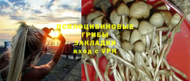 как найти закладки  Остров  блэк спрут ТОР  Псилоцибиновые грибы Psilocybe 